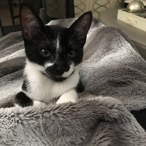 Meet your Posher, Rebecca